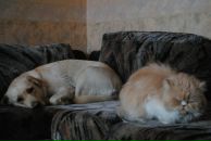 №37 Мария Круглова 25.07: профиль, фото, статус - ВКонтакте