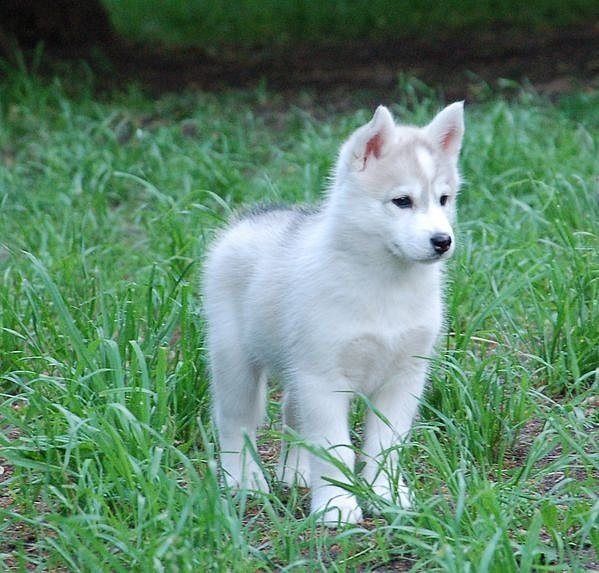 №34, Кристина Мамаджанова, 35 лет, Казань №34, Кристина Мамаджанова, 35 лет, Казань