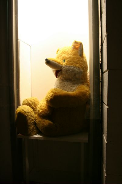 №21, Юлия Точёнова, Химки №21, Юлия Точёнова, Химки