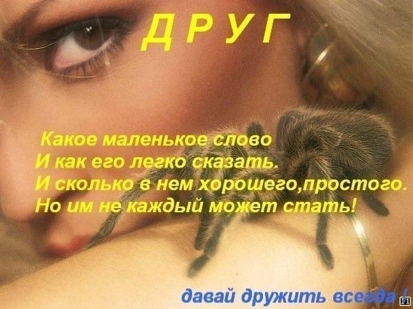 №59, Ирина Ирина, Санкт-Петербург №59, Ирина Ирина, Санкт-Петербург