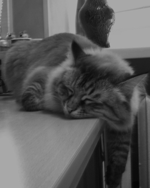 №19, Егор Кузин, 30 лет, Москва, Россия №19, Егор Кузин, 30 лет, Москва, Россия