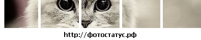 №193, Екатерина Мироненко, 37 лет, Ростов-на-Дону, Россия №193, Екатерина Мироненко, 37 лет, Ростов-на-Дону, Россия