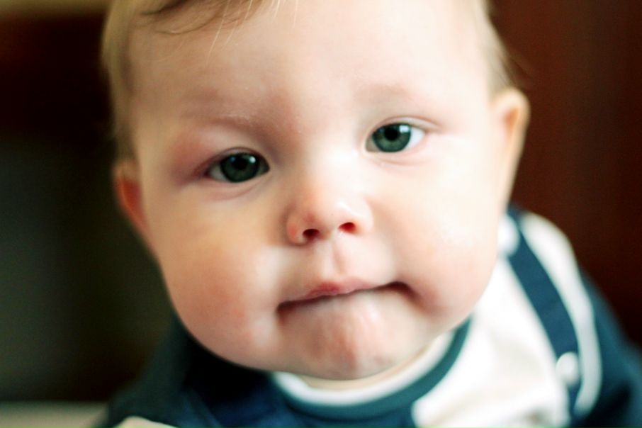 №52, Ольга Волкова, Кириши №52, Ольга Волкова, Кириши