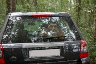 Фотография Алексей Паничев