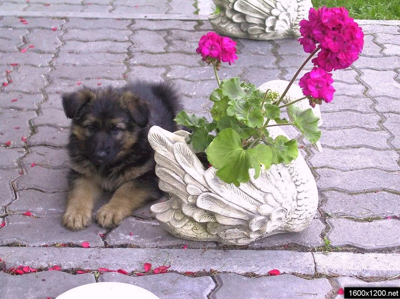 Мария Староверова | Красноярск