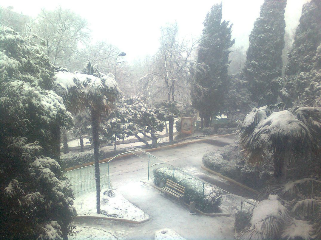 Санёк Иванов <Спартак> | Морки