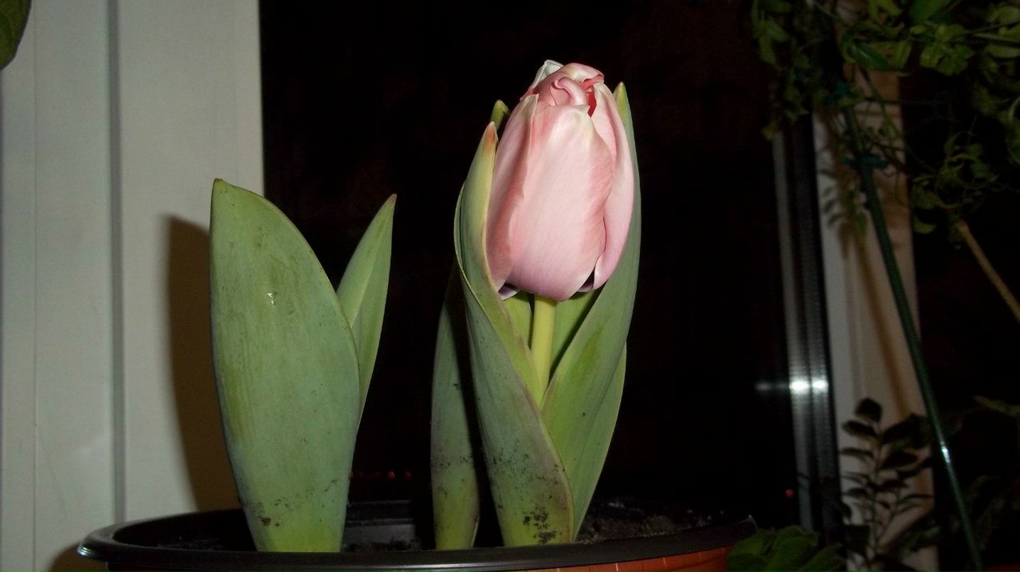 Валентина Богатырева | Запорожье