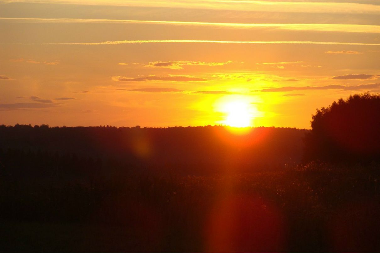 Наталья Меркулова | 