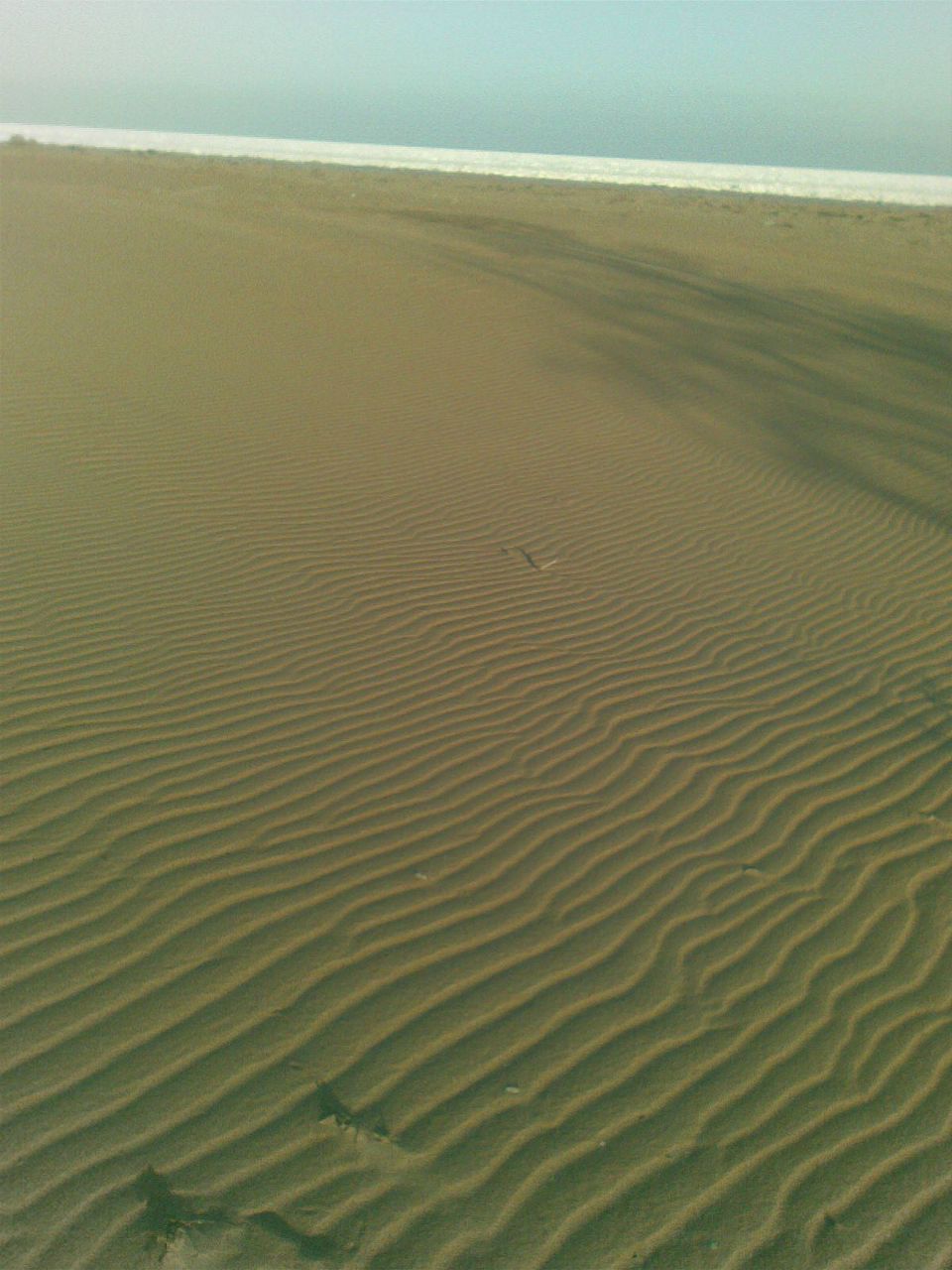 Евгений Рашковский | Одесса