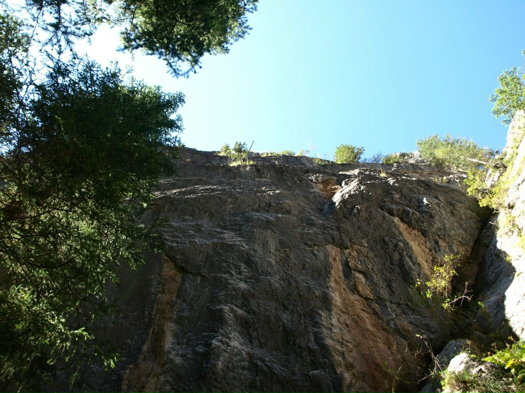 Павел Шамаков | Есик