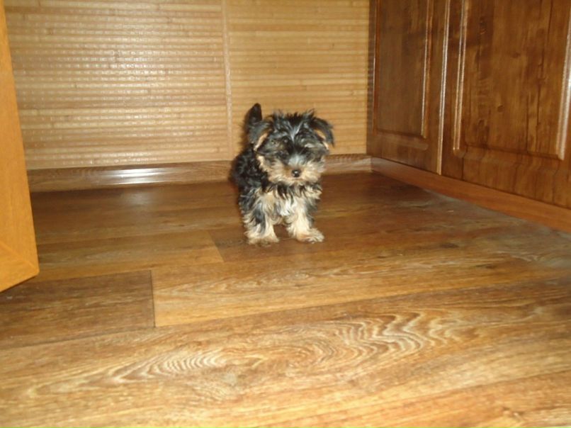 №39, Татьяна Ульянова, 40 лет, Севастополь №39, Татьяна Ульянова, 40 лет, Севастополь