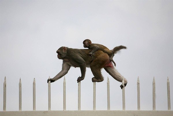 Александр Кузьмин | Санкт-Петербург