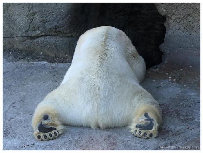 Катерина Алексеева | Санкт-Петербург