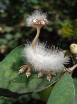 №21, Ранэль Гимадеев, Казань, Россия №21, Ранэль Гимадеев, Казань, Россия