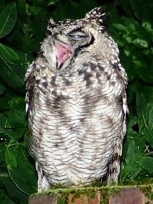 №27, Любовь Орлова, 46 лет, Коломна №27, Любовь Орлова, 46 лет, Коломна