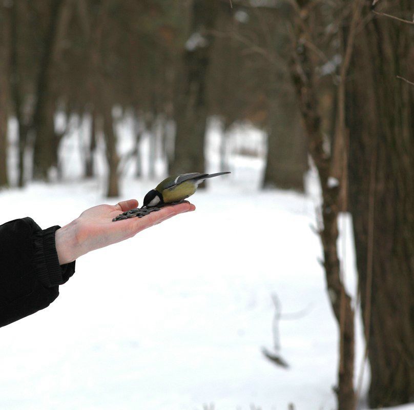 Роман Маслюковский | Житомир