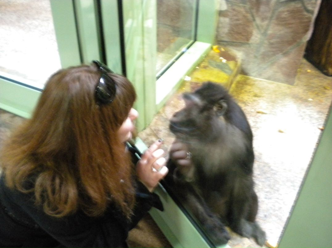 Евгения Дубровская | Санкт-Петербург