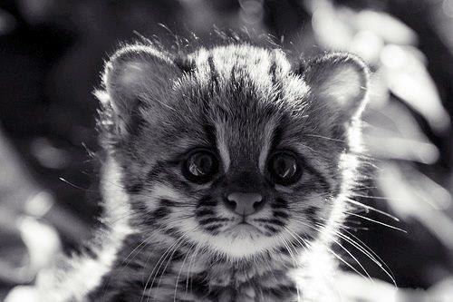 Юля Иванова *6elka* | Москва