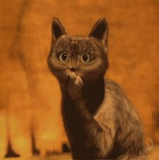 Павел Вишняков kitekat | Санкт-Петербург