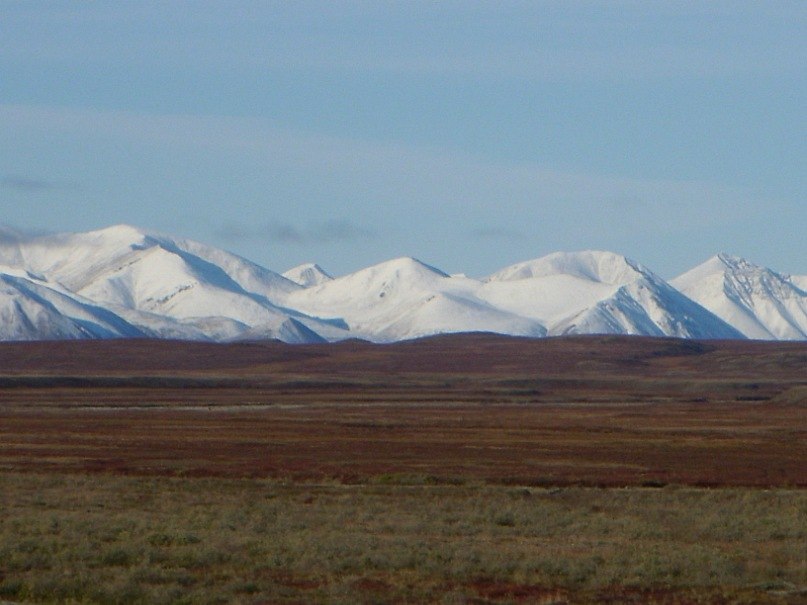 Павел Мельдер | Воронеж