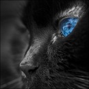 №4 Татьяна Филатова 11.09: профиль, фото, статус - ВКонтакте №4 Татьяна Филатова 11.09: профиль, фото, статус - ВКонтакте
