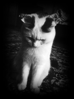 Александр Машков | Серпухов