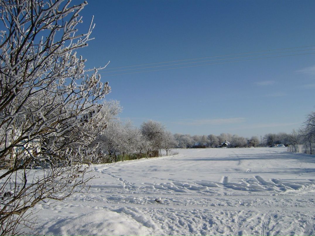 Алла Антонюк | Кременчуг
