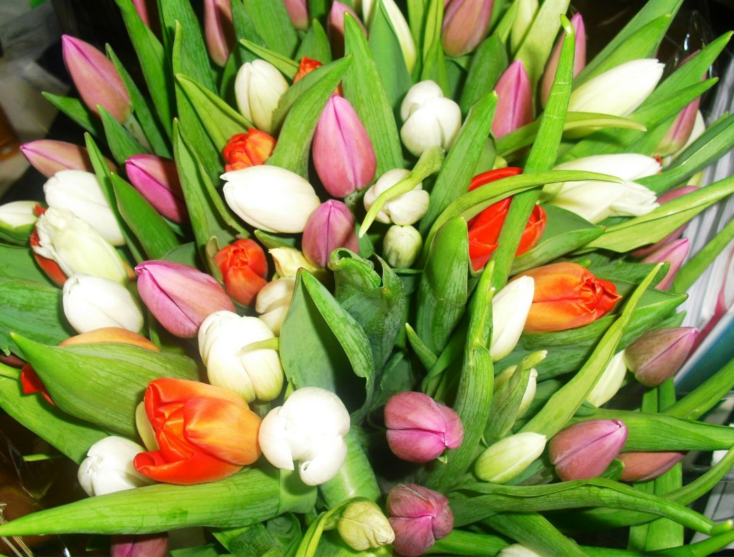 Екатерина Чадова | Москва