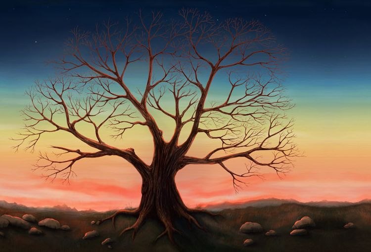 Вероника Козлова ***[Идите нафиг я снежинка!]*** | Яготин