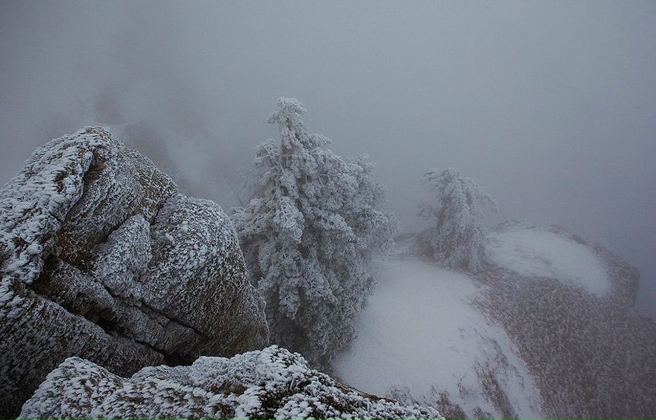 №77, Максим Куликов, Москва №77, Максим Куликов, Москва