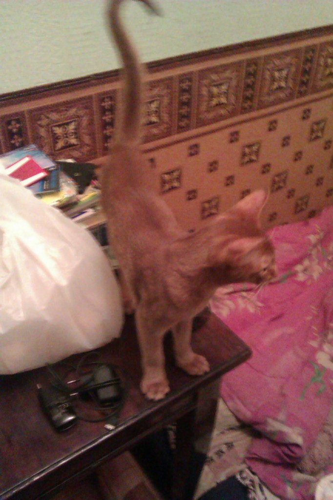 Михаил Ефимов | Москва