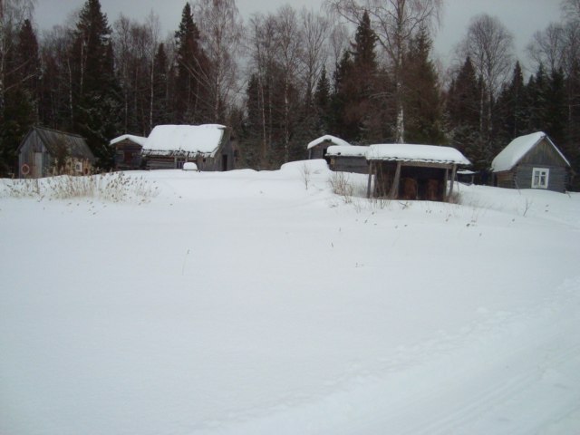 Александр Трофимов | Емецк