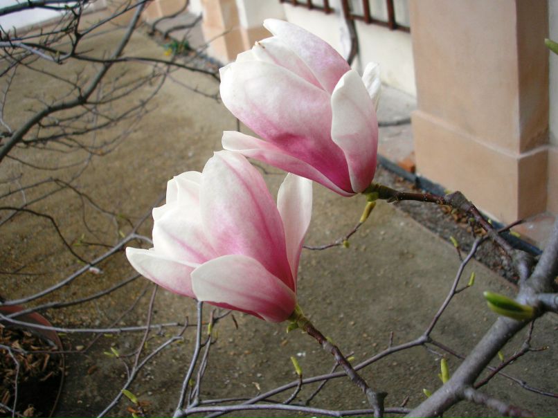 Женя Саликова | Пермь