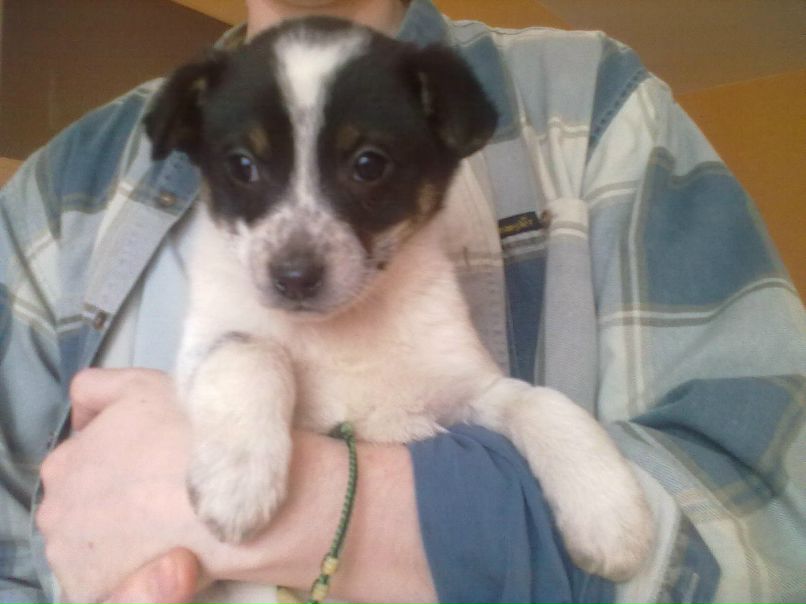 Санька Родионова | Москва