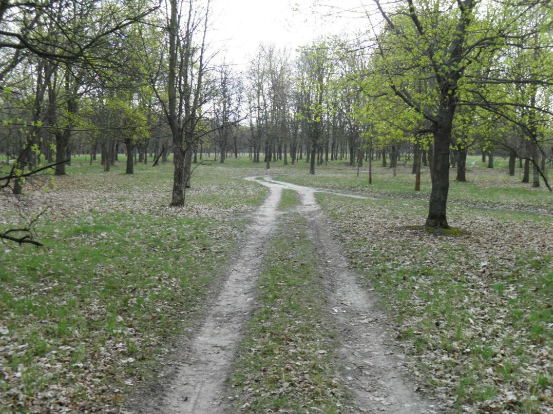 Александр Маласай | Днепр (Днепропетровск)