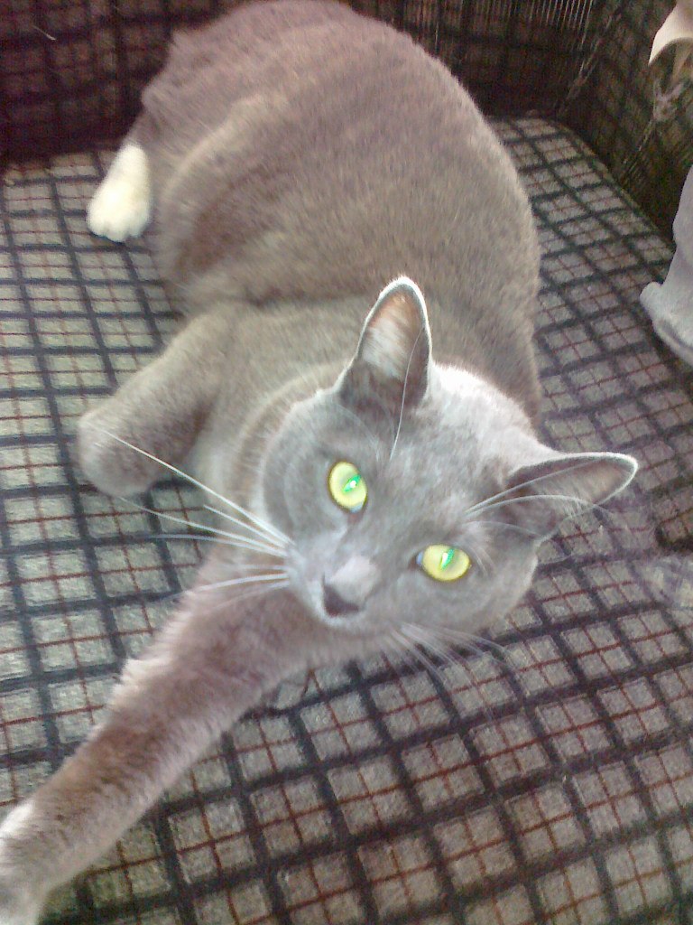 Наталья Сохарева | Екатеринбург