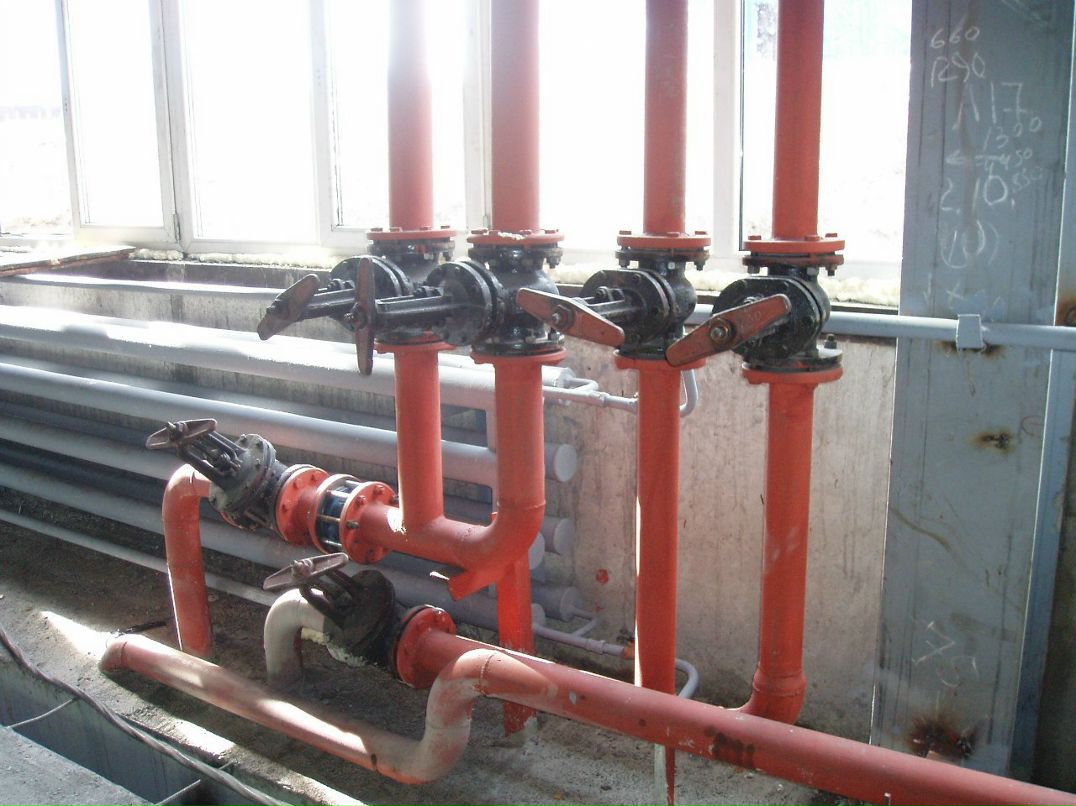 Алексей Шляпин | Новокузнецк