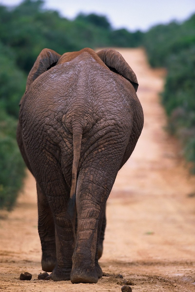 Юлия Ахмадеева | Санкт-Петербург