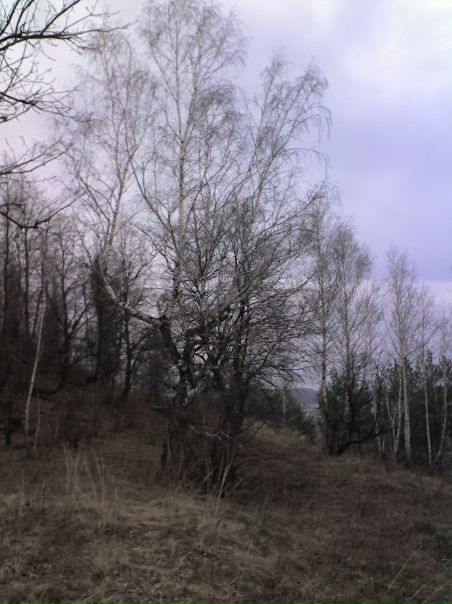 №22, Айвар Аминев, Октябрьский №22, Айвар Аминев, Октябрьский