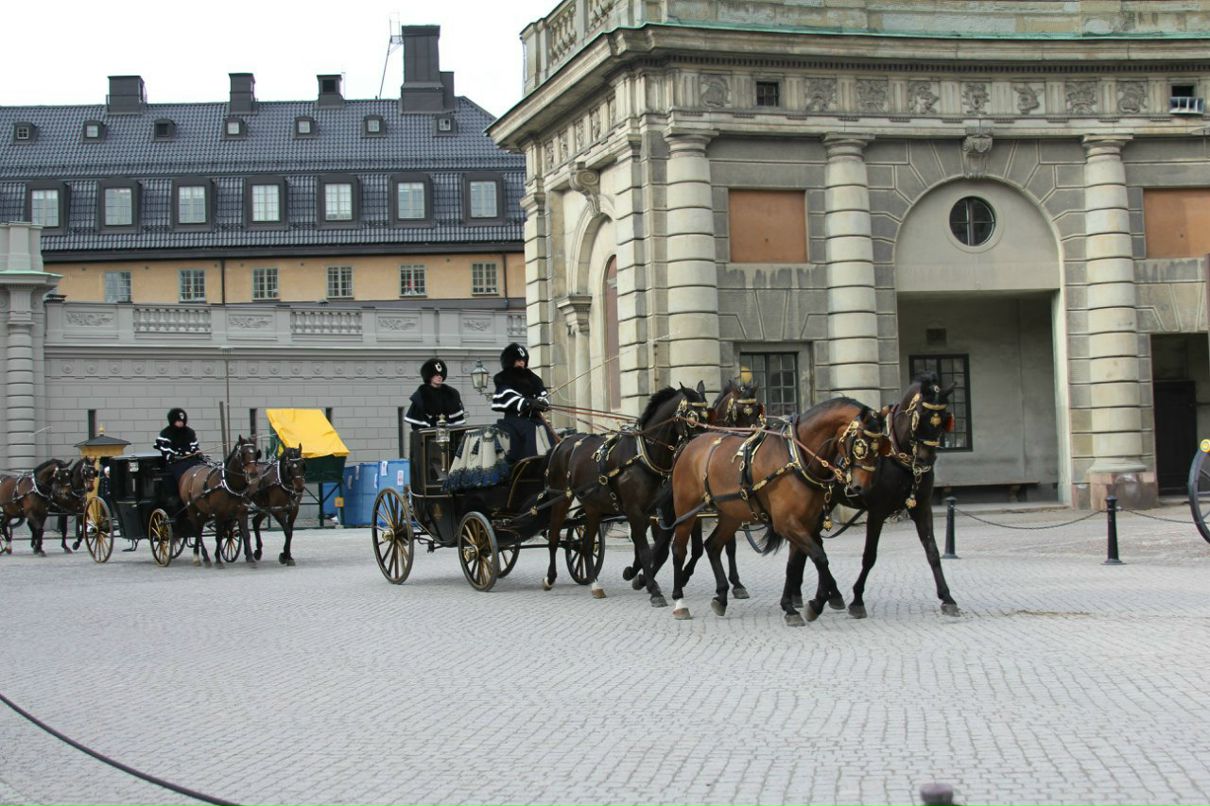 Таня Ляховкина | Санкт-Петербург