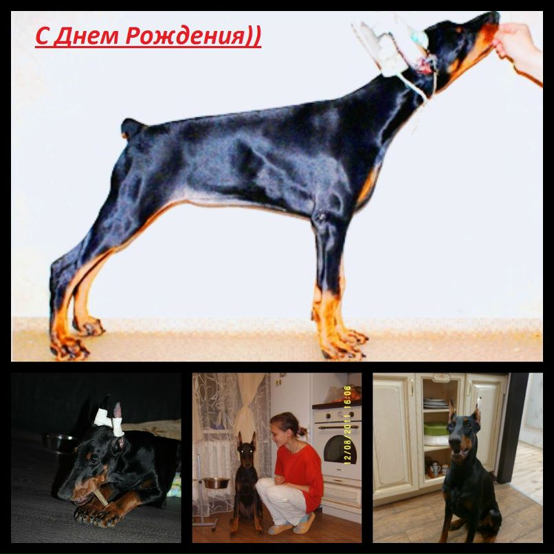 Юленька Ибрагимова | 