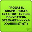 №14 Полиночка Дзидзигури 09.11.1999: профиль, фото, статус - ВКонтакте