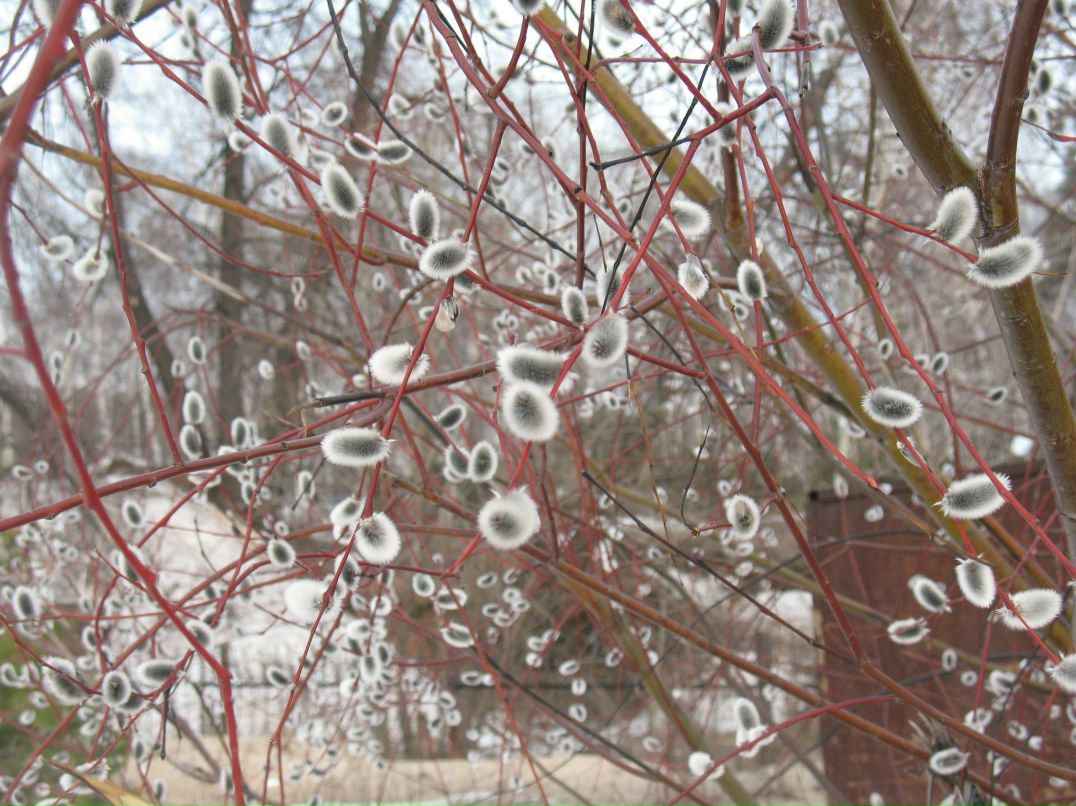 Надежда Червякова Нади | Казань