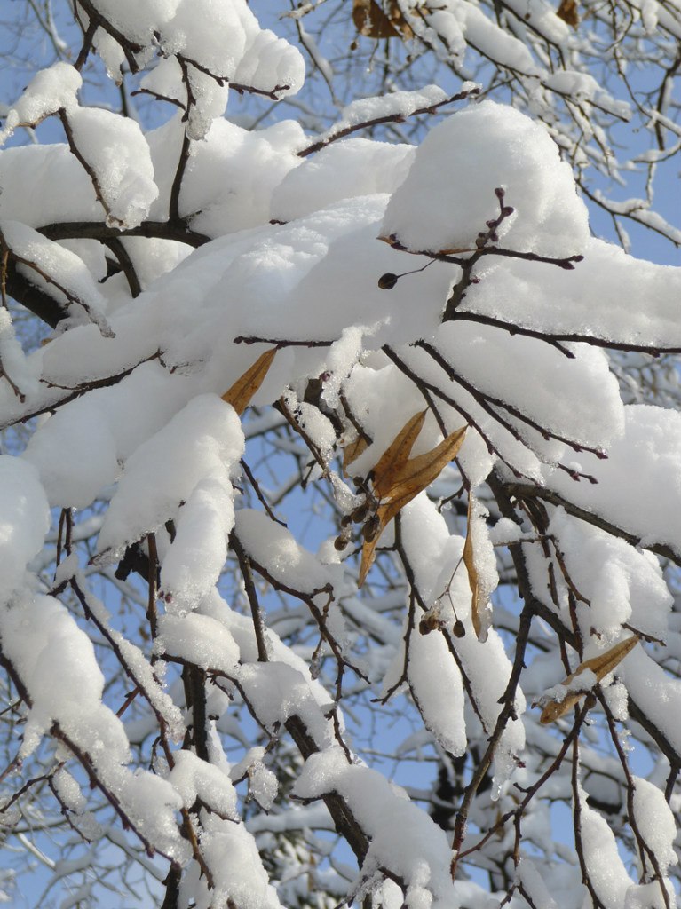 Игорь Алтухов | Киев