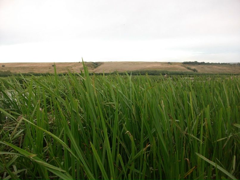 Сергей Потапов | Кузнецк