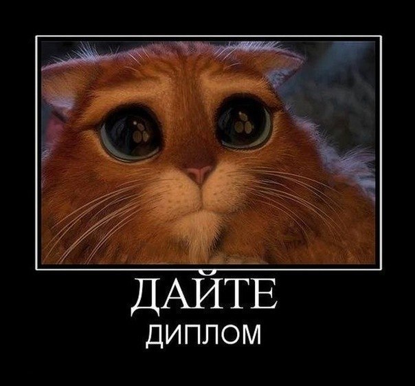 Светлана Кравченко | Киев