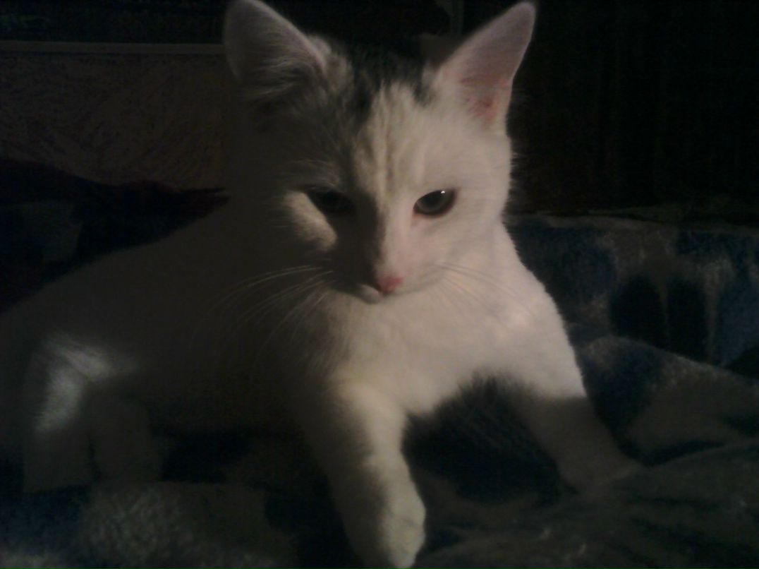 Юлия Рябинина | Кириши