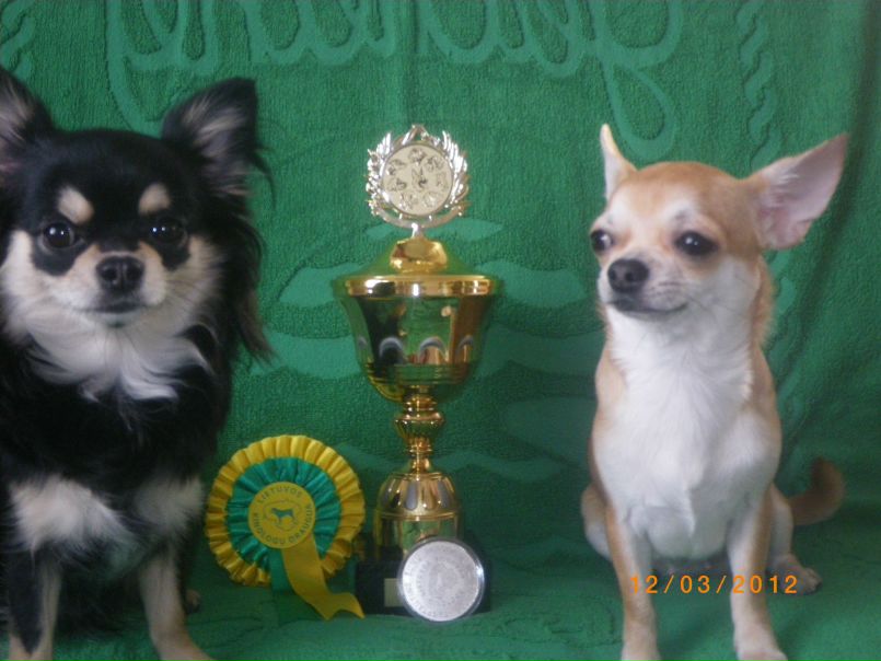 №11, Олеся Румянцева, 46 лет, Санкт-Петербург №11, Олеся Румянцева, 46 лет, Санкт-Петербург