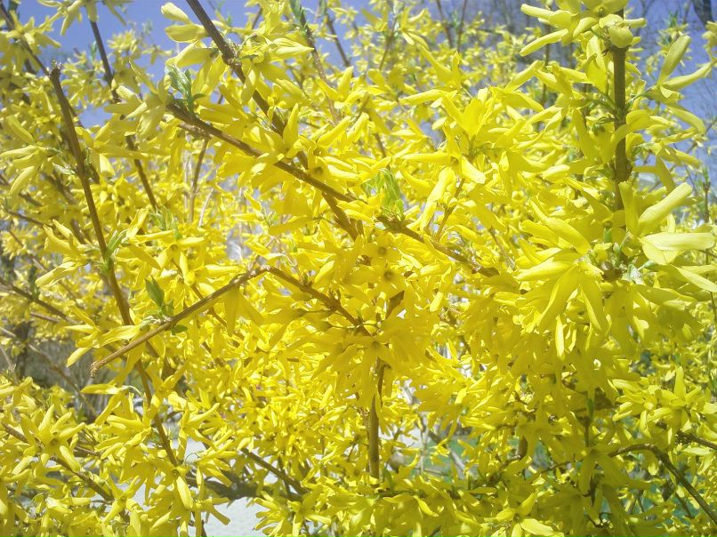 Александр Аношкин | Москва