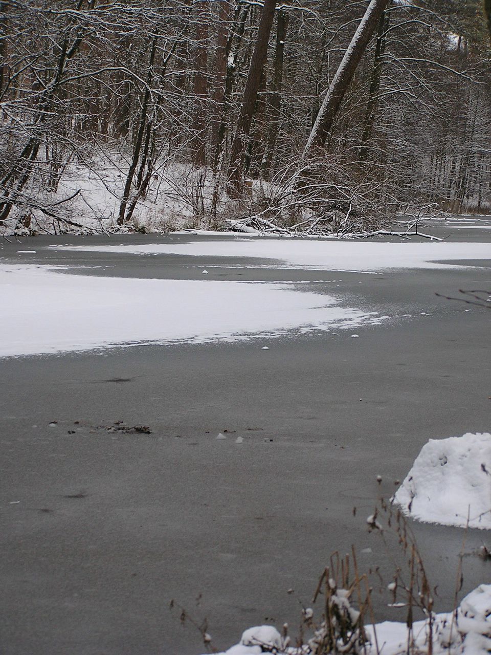 Андрей Репянский | Киев